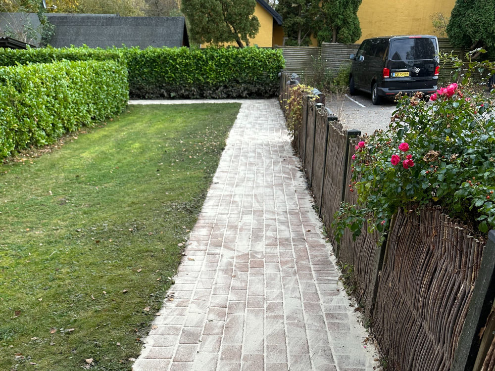 Clean brick pathway after professional cleaning
