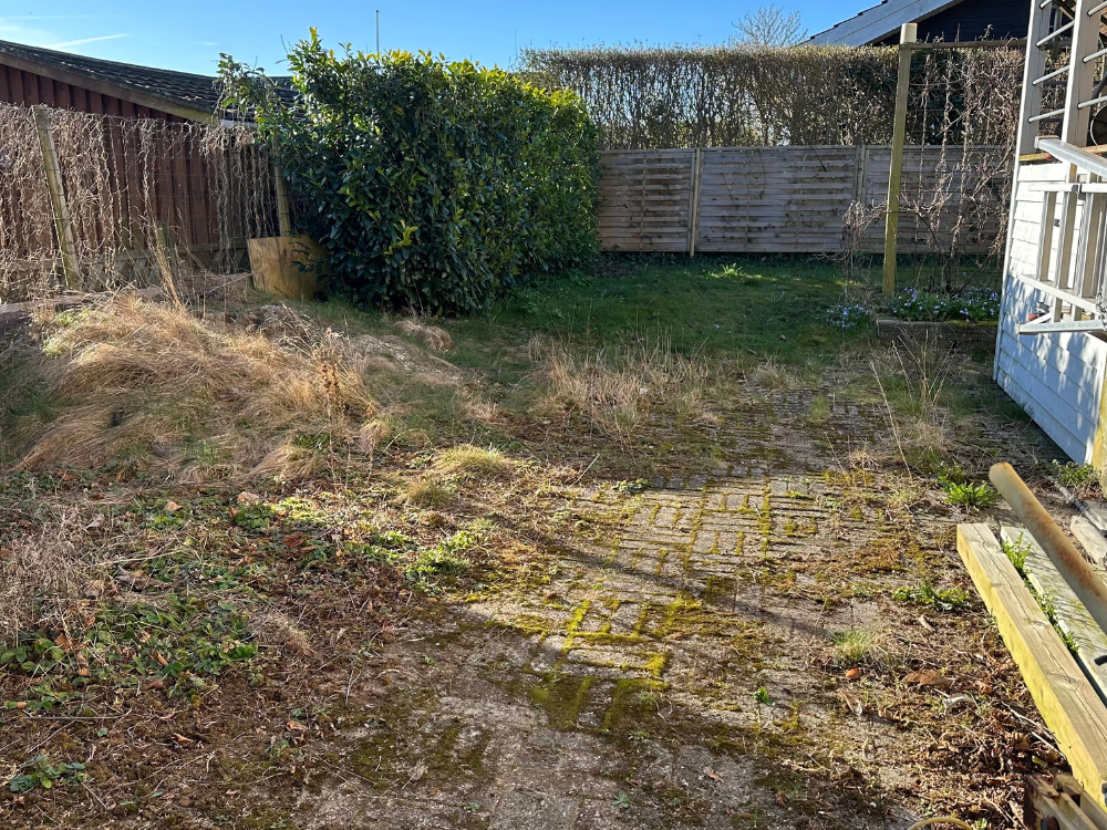 Dirty patio covered in moss and algae before cleaning