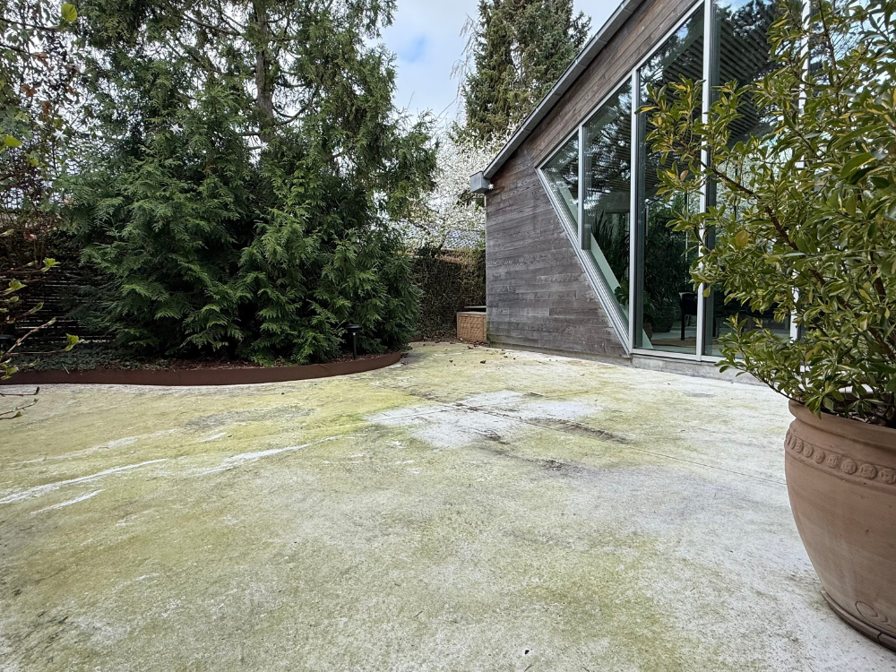 Terrace covered in green algae before cleaning
