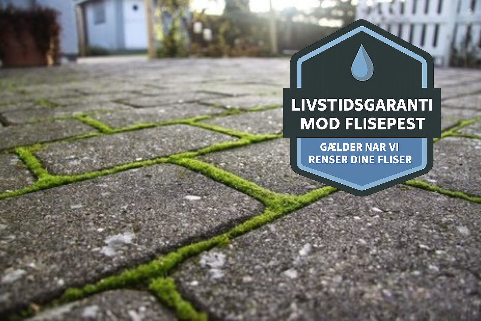 Livstidsgaranti mod flisepest